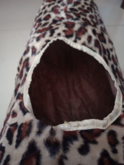 Tunel dla kota Polecam