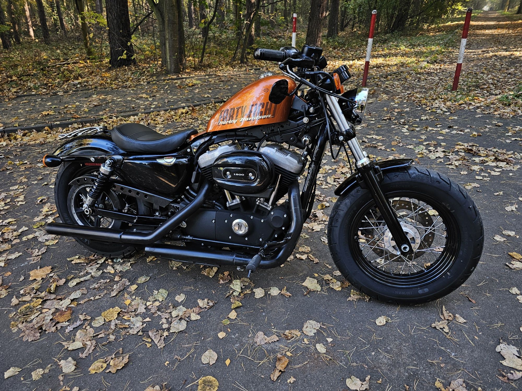 Harley Davidson Sporster Peanut 48