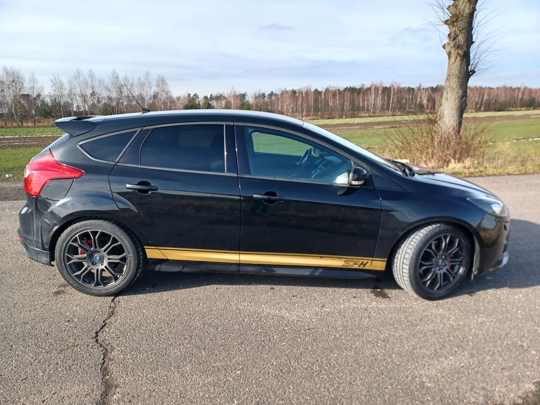 Ford Focus ST 2.0 250km