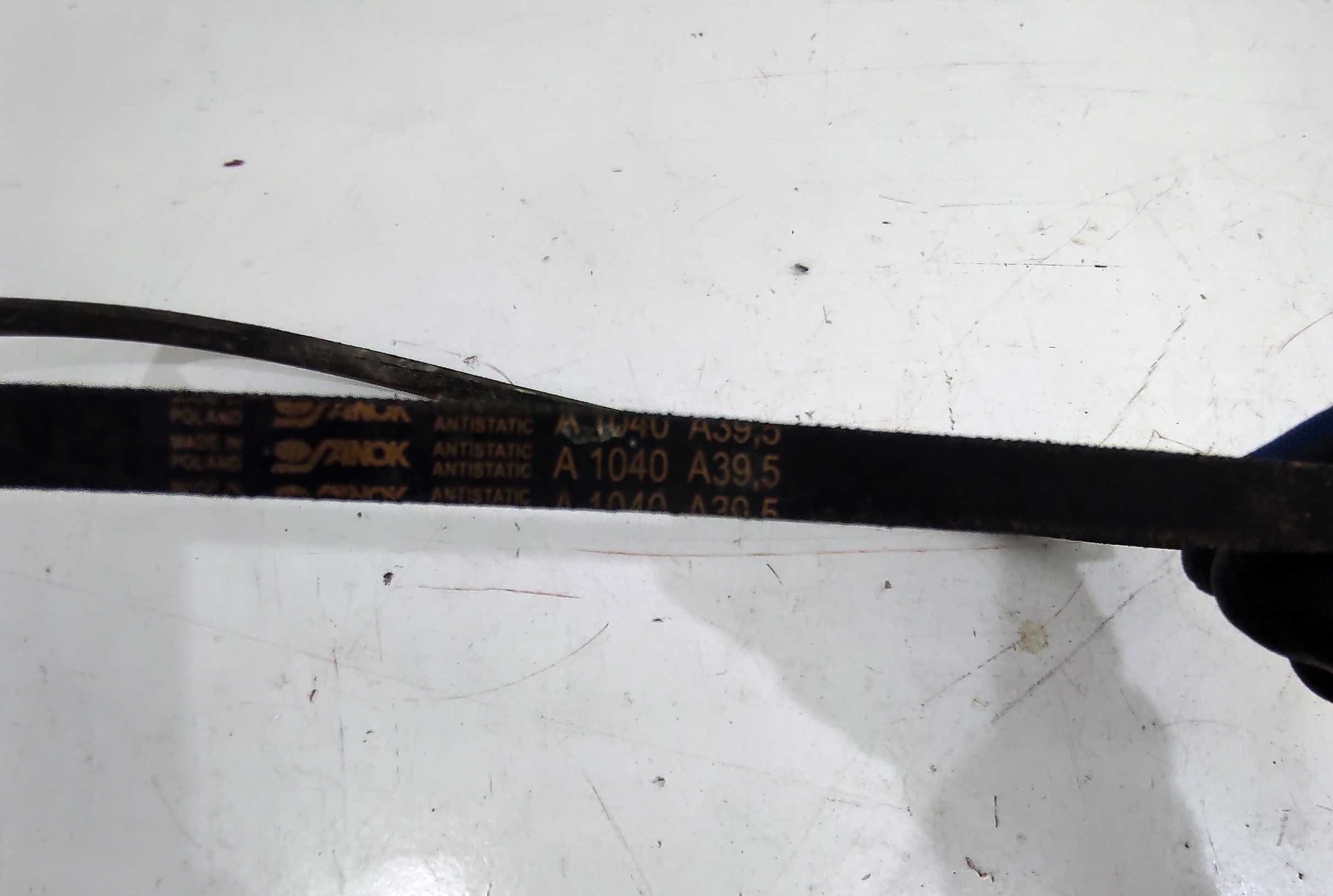 Pas pasek klinowy zębaty Massey Ferguson D419900.19 MF Cerea