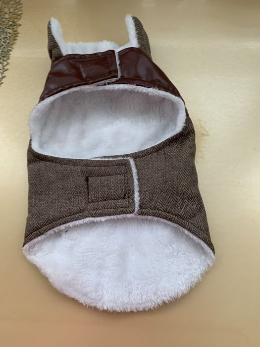 Одежда доя собак