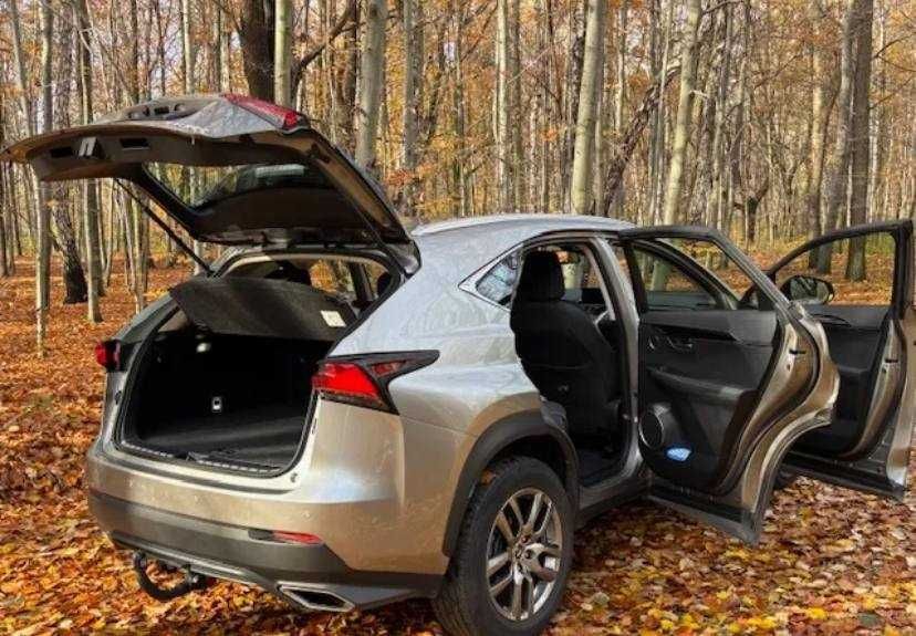 Lexus NX 300 Elegance Optimum AWD