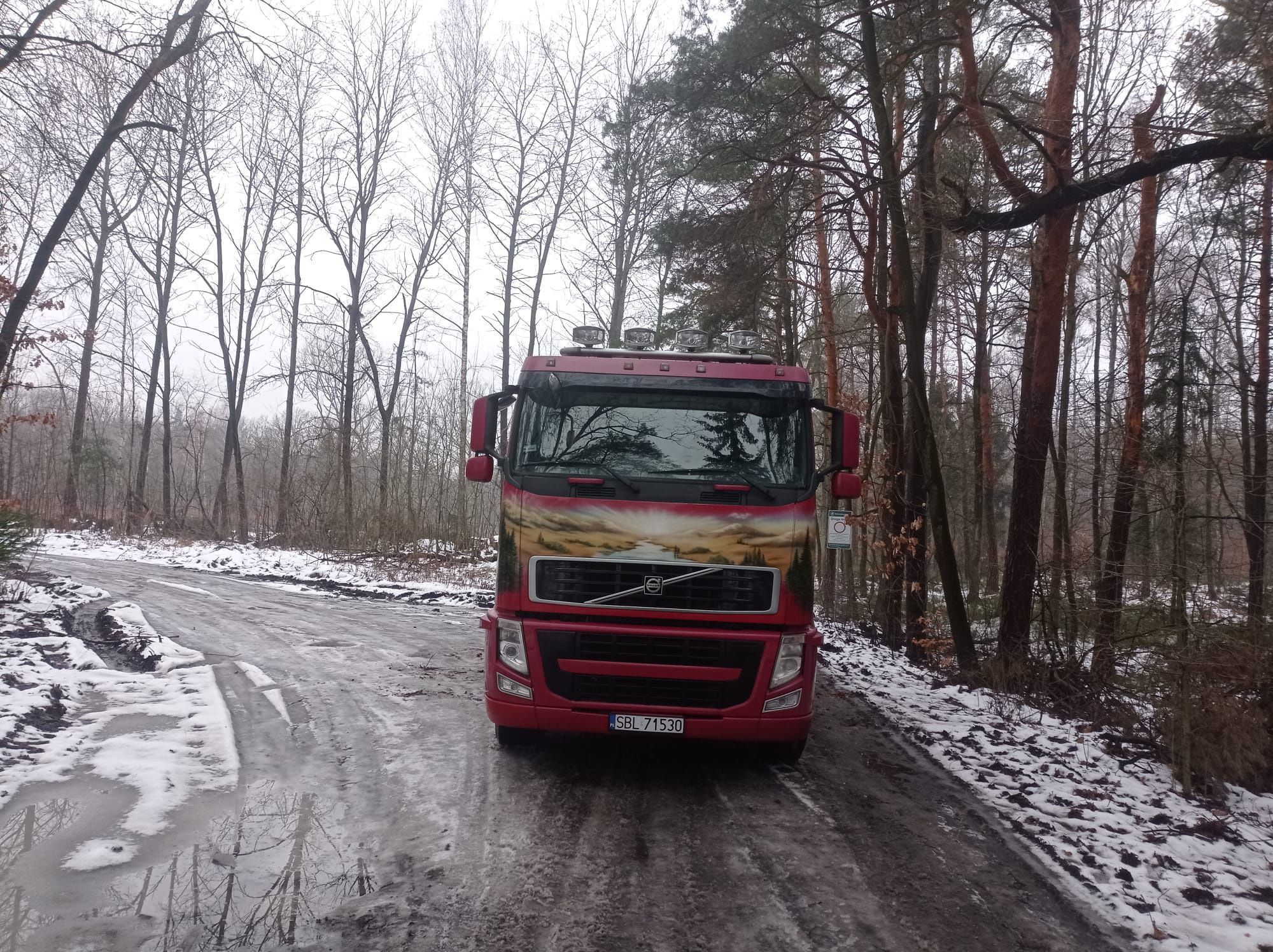 Transport drewna HDS złomu sprzętu kruszyw drzewinne