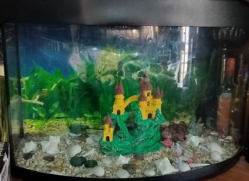 Aquário grande para peixes
