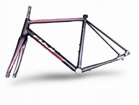 Rama Rowerowa FUJI ROUBAIX 1.5 Disc Rozmiar 54Cm Z Karbonowym Widelcem