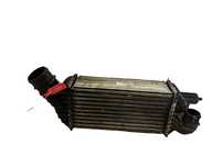 Intercooler Peugeot Citroen