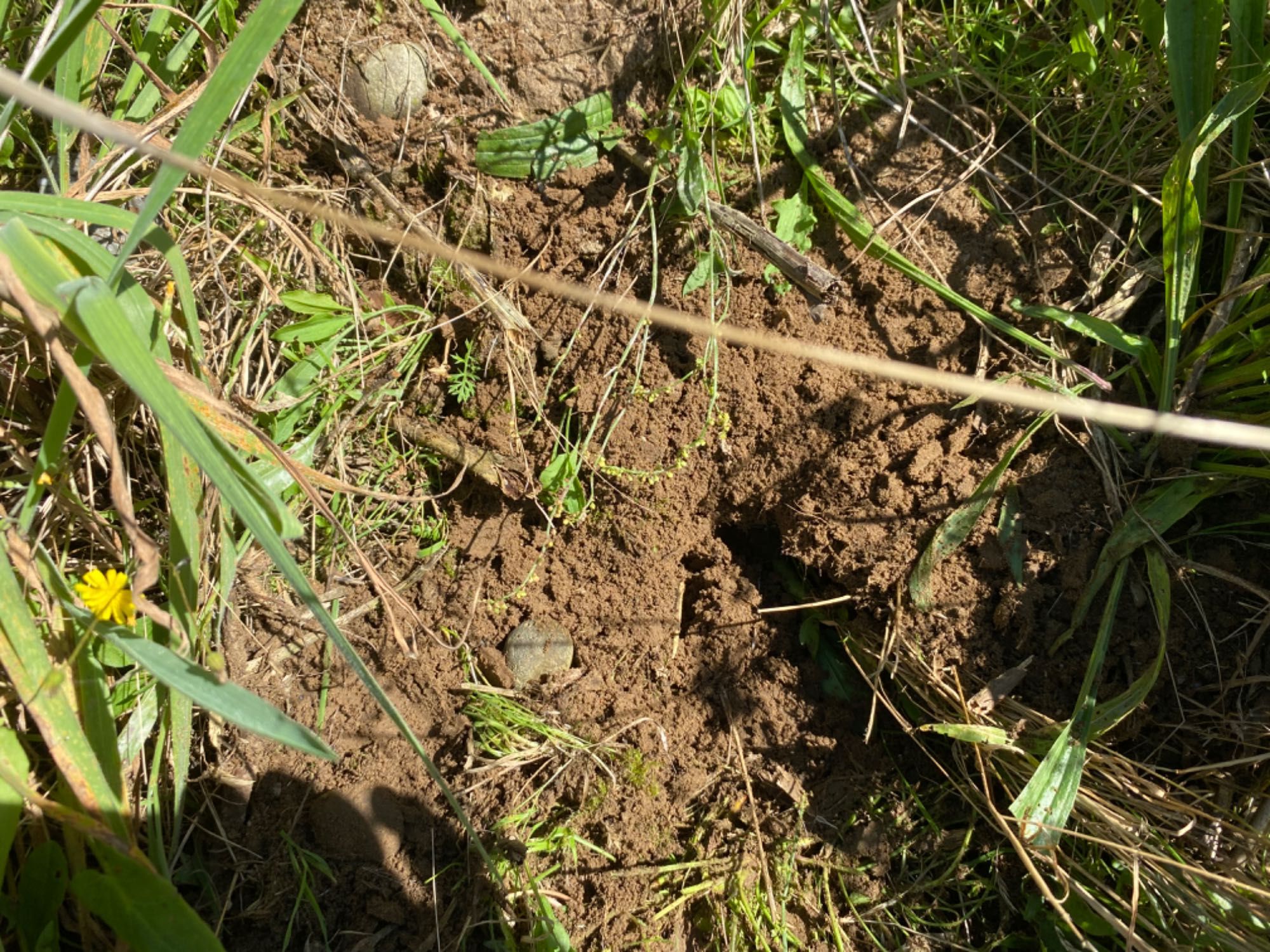 Oddam ziemię nawierzchniówkę