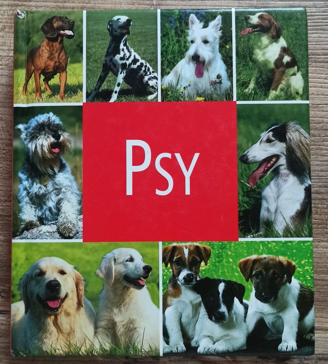 Album Książka PSY - Honos Koeln