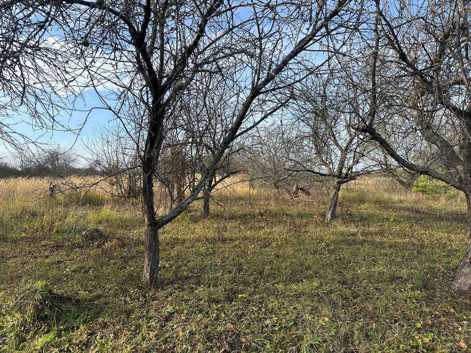 Продаж ділянки 10 соток під забудову. Біля лісу.Зручний під'їзд.ID:728