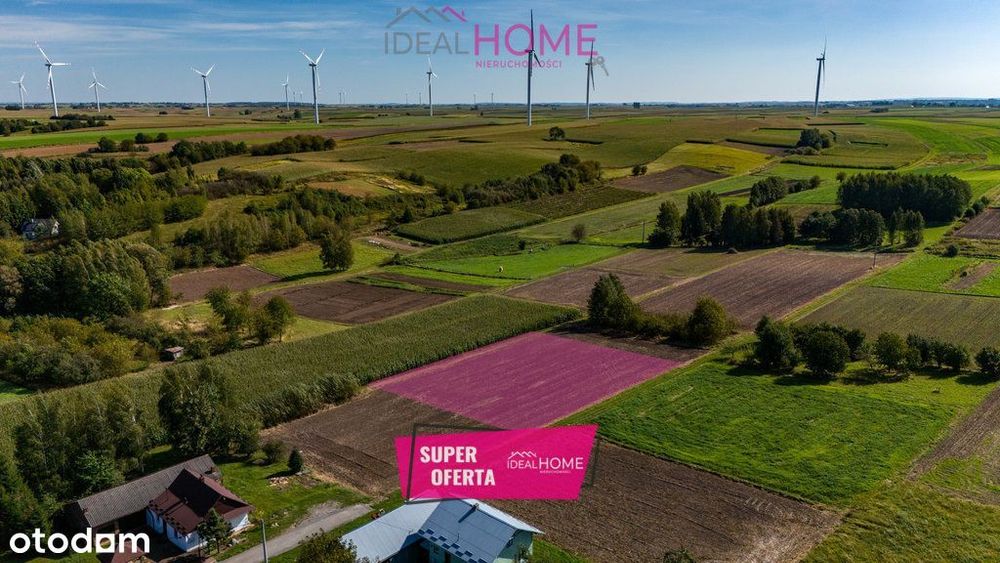 Działka rolna - Wysoka