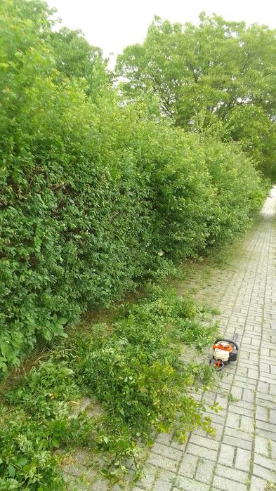 Wycinka drzew, obcinanie żywopłotów, koszenie
