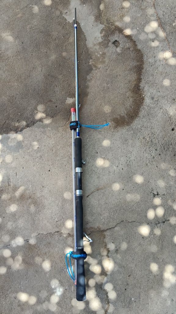 Canas de Pesca variadas ( Vendo em conjunto ou separadas)