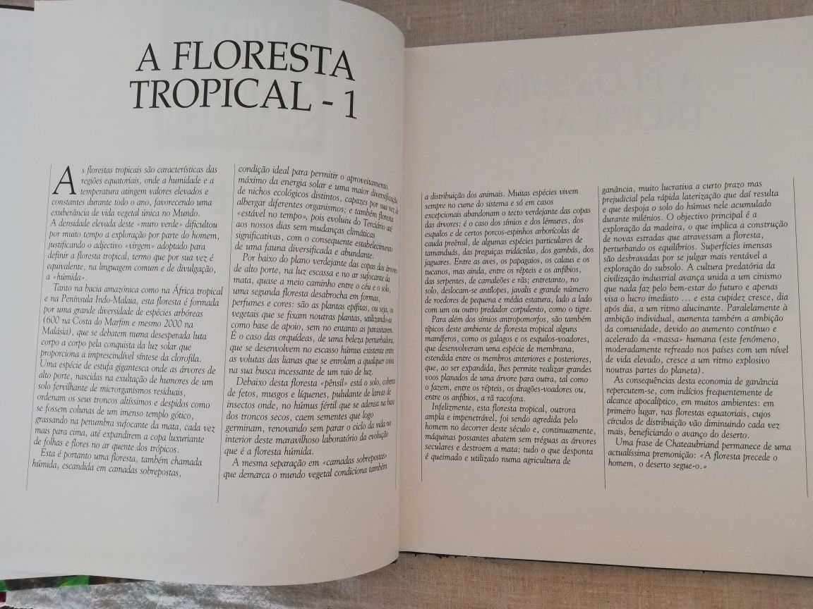 Livros "Animais da Floresta Tropical 1 e 2", Coleção Vida Selvagem