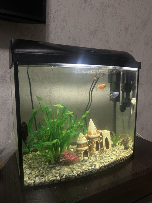 Прямокутний акваріум 35 л з кришкою,світильником