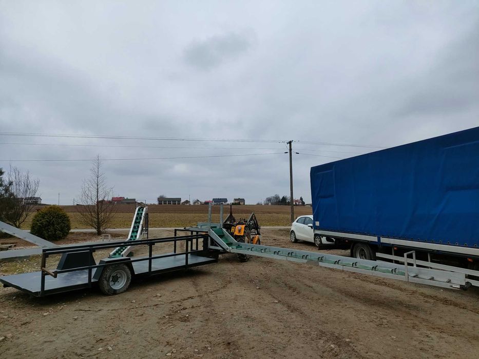 taśmociąg / podajnik / transporter / platforma / do zbioru warzyw