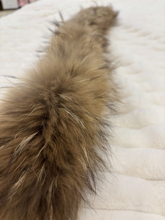 Kołnierz  obszycie jenot