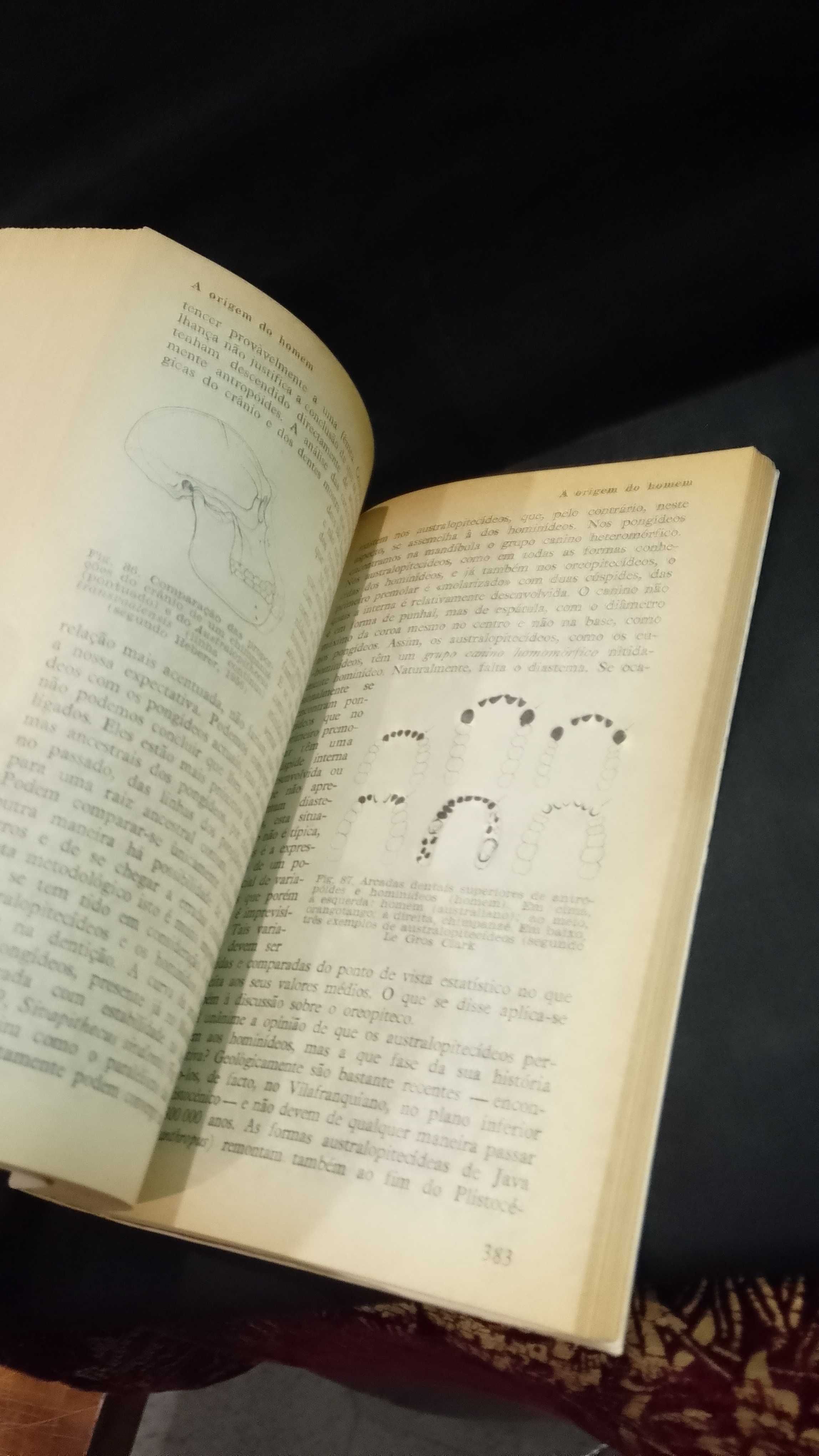 Antropologia - Enciclopédia Mediriano / Fischer