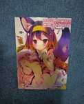 Ранобэ No game no life Без игры нет жизни
