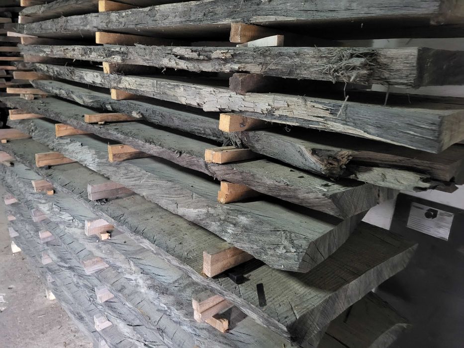 czarny dąb, brusy czarny dąb, dąb bagienny, black oak, dąb czarny