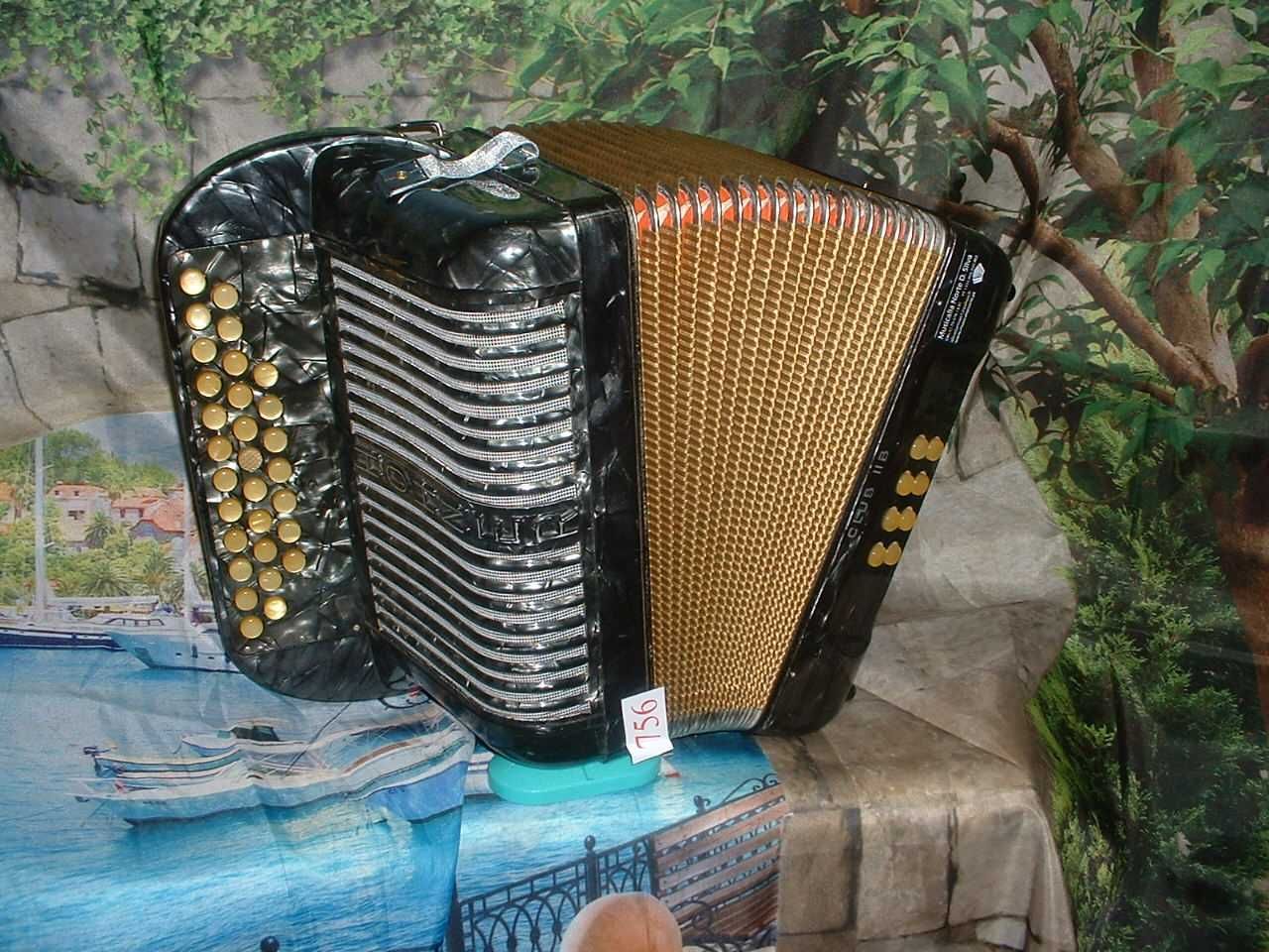 Concertina a venda n.756