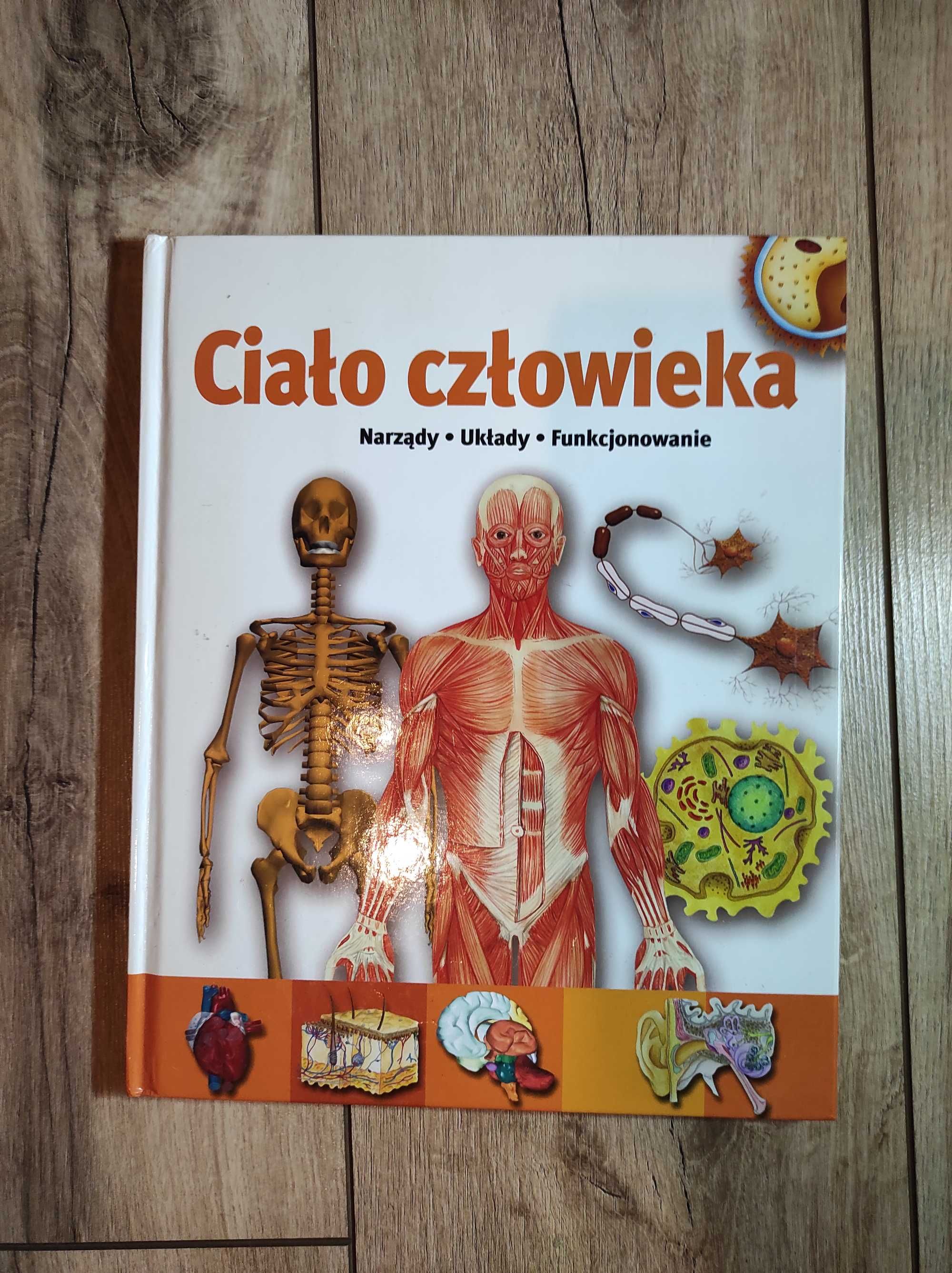 Książka "ciało człowieka" biologia