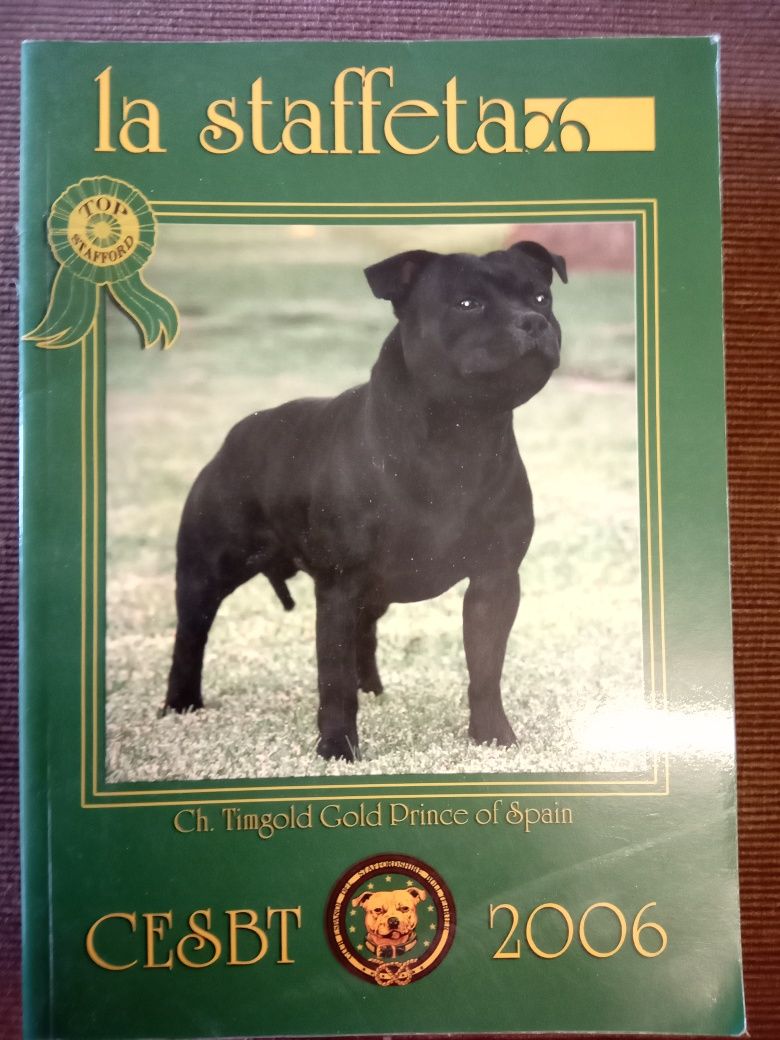 Staffordshire bull terrier