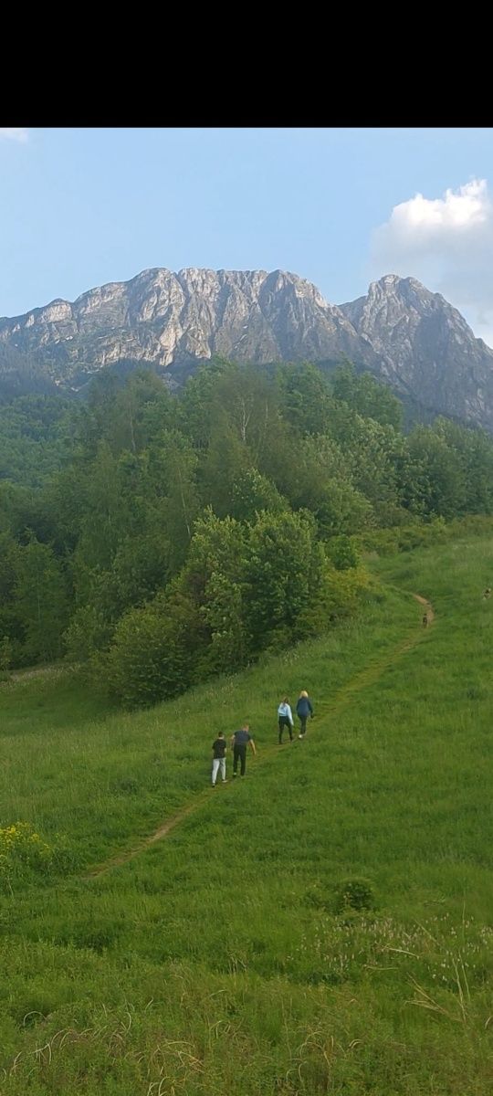 Zakopane-Krupówki -  6 osób Wakacje