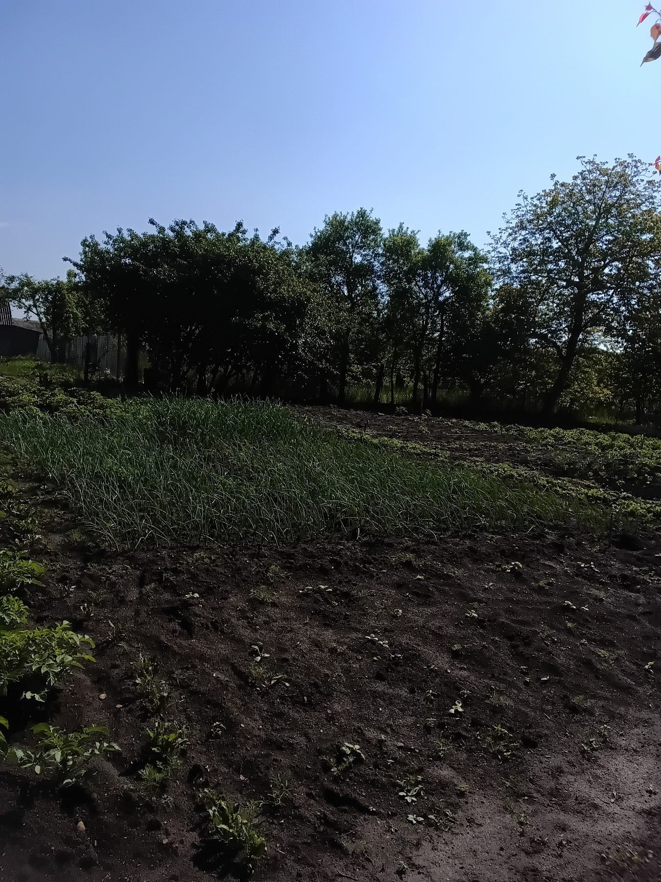 Продам хату в с. Врублівці