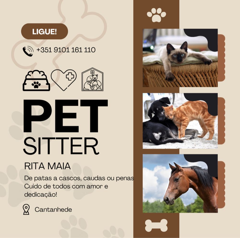 Petsitter em Cantanhede e arredores
