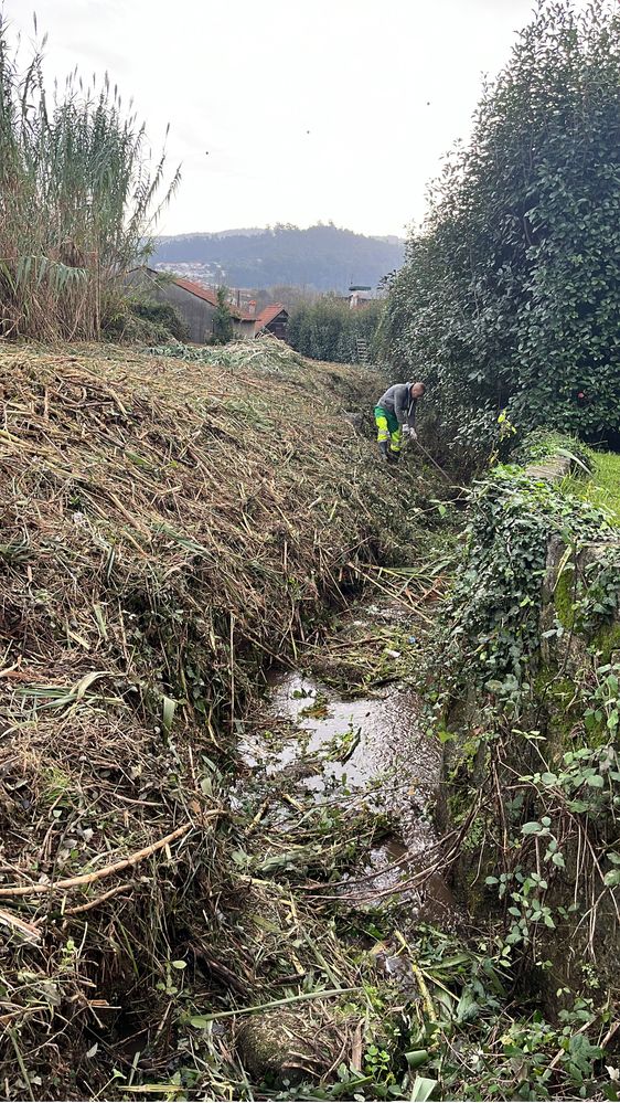 Limpezas de terrenos / desmatação e jardinagem