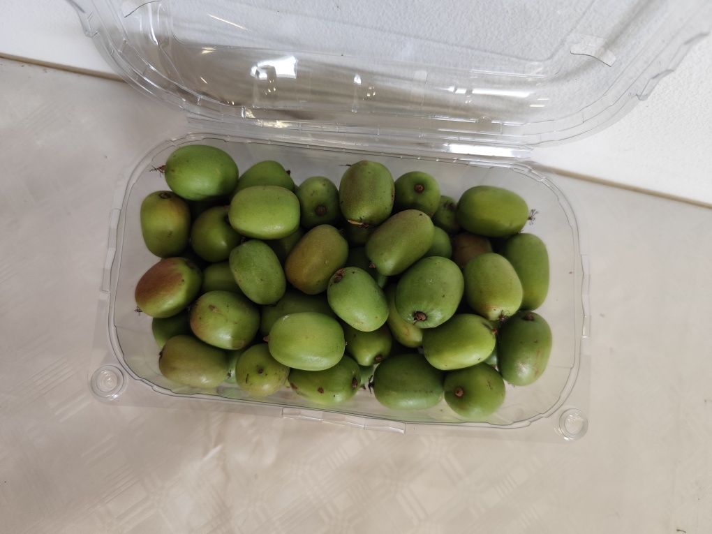 Mini kiwis biológicos
