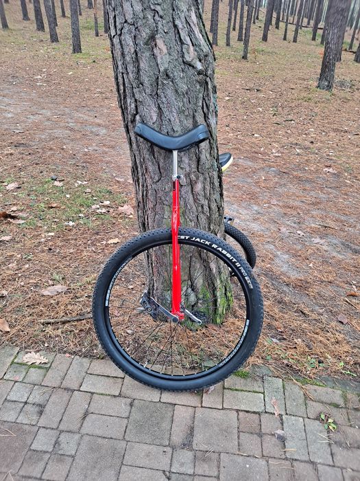 Monocykl unicycle 29 "