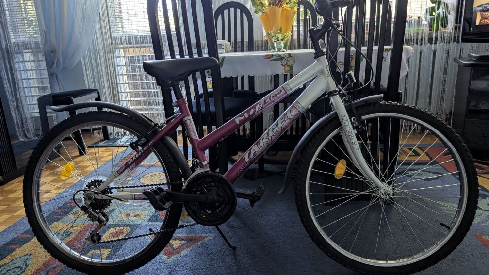 Rower Romet Arkus MTB 24"