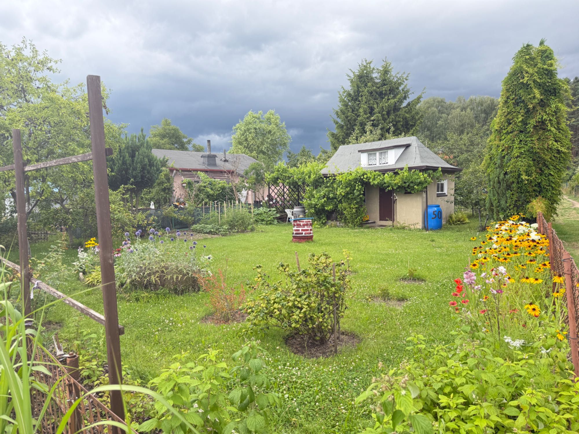 Piękna Działka ROD Jędrzychów „Grono”