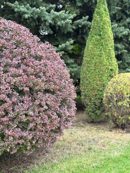 Продаж ділянки 1,7 Га Конча-Заспа та резиденції будинку 250м2