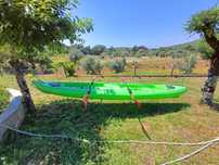 Kayak familar com remos