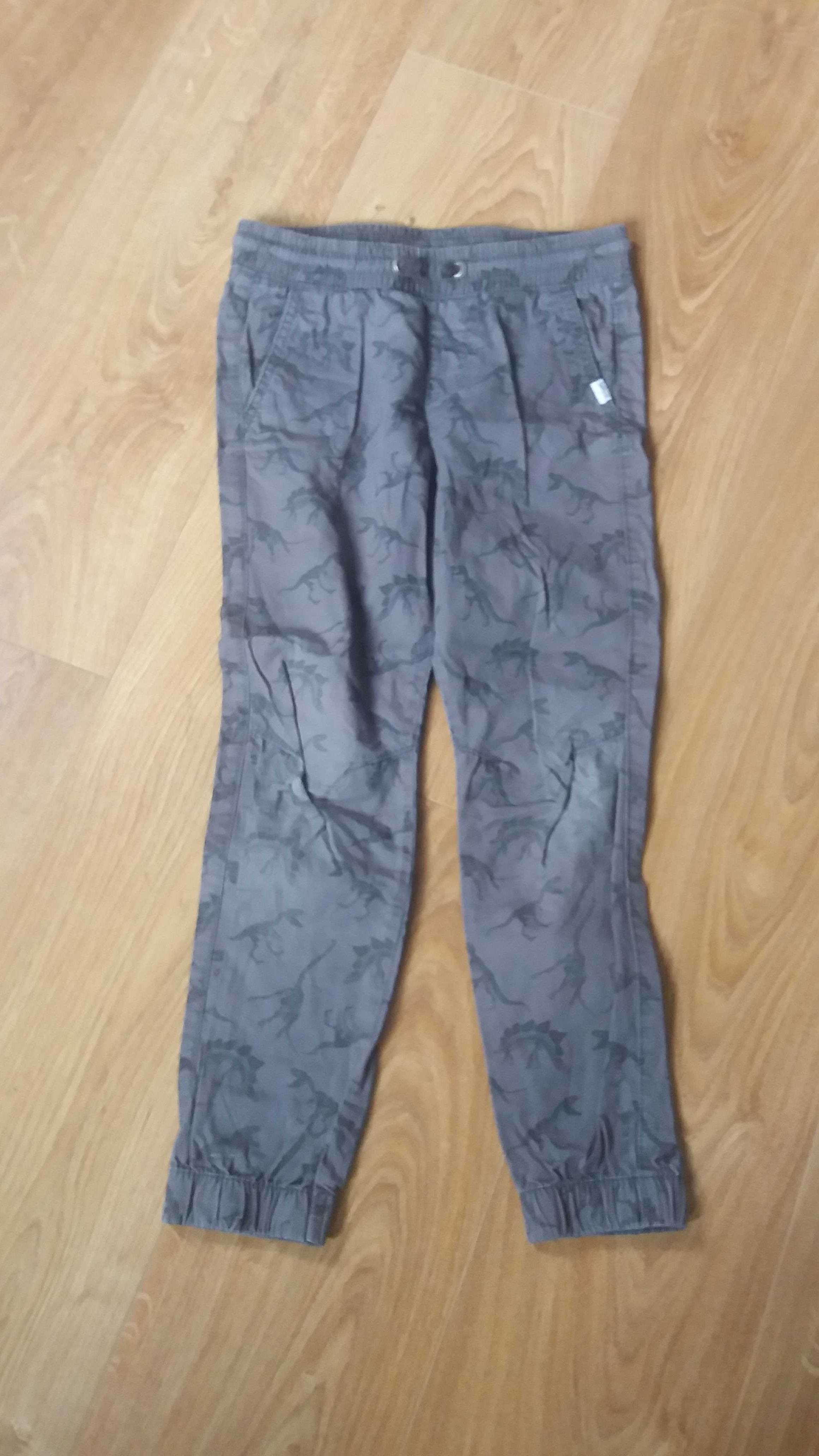 Spodnie szare HM 134 z dinozaurami joggery