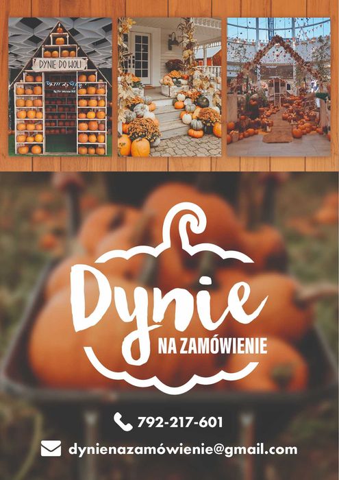 Dynie, dynia na zamówienie różne rodzaje, hurt, detal