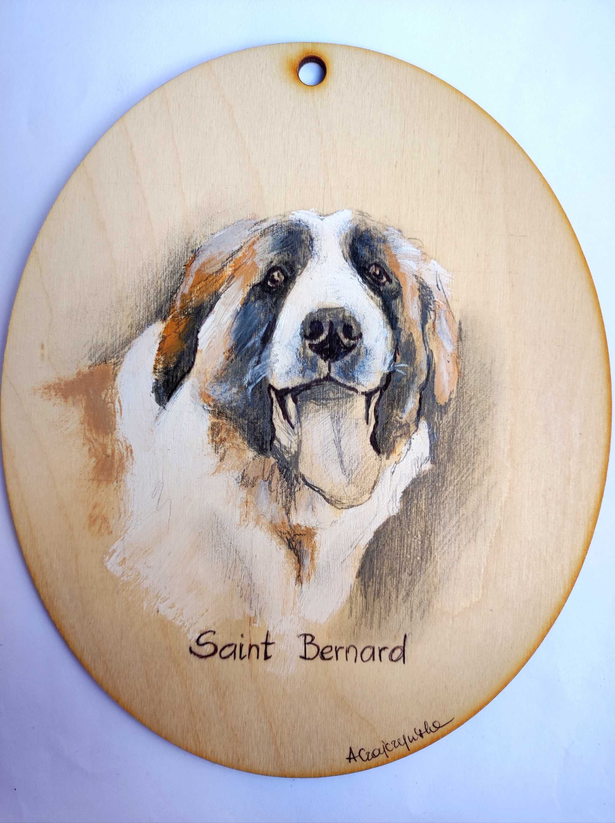 Bernardyn portret psa pies