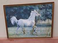 Quadro grande e antigo de um cavalo branco