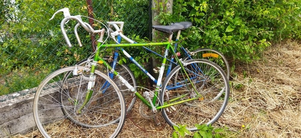 Quadros bicicleta antigos