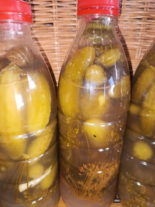 Ogórki kiszone 1 litr