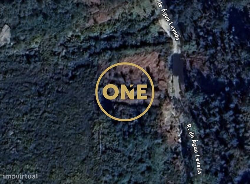 Terreno com Oliveiras no Cerquido – Junto ao Monte de Santa Justa