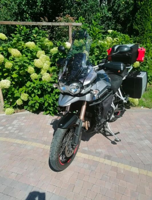 Triumph Tiger