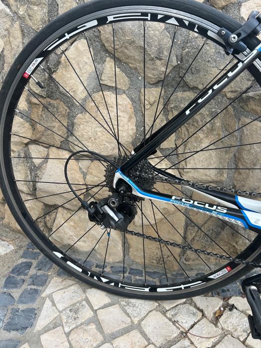 Bicicleta focus cayo carbono