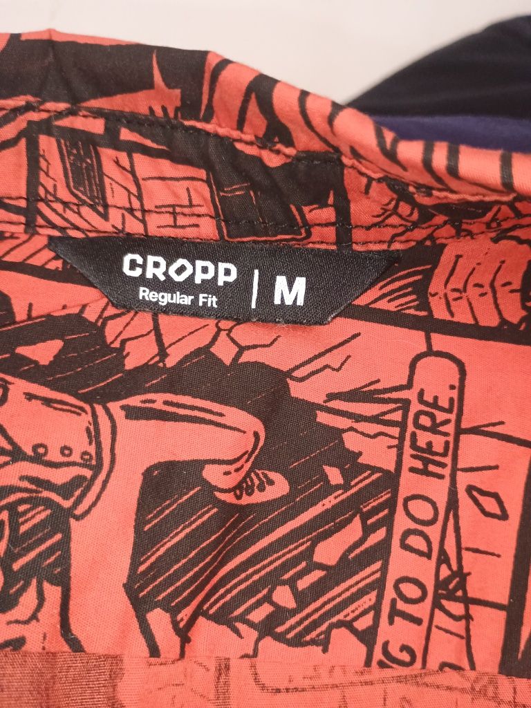 Koszula męska Cropp