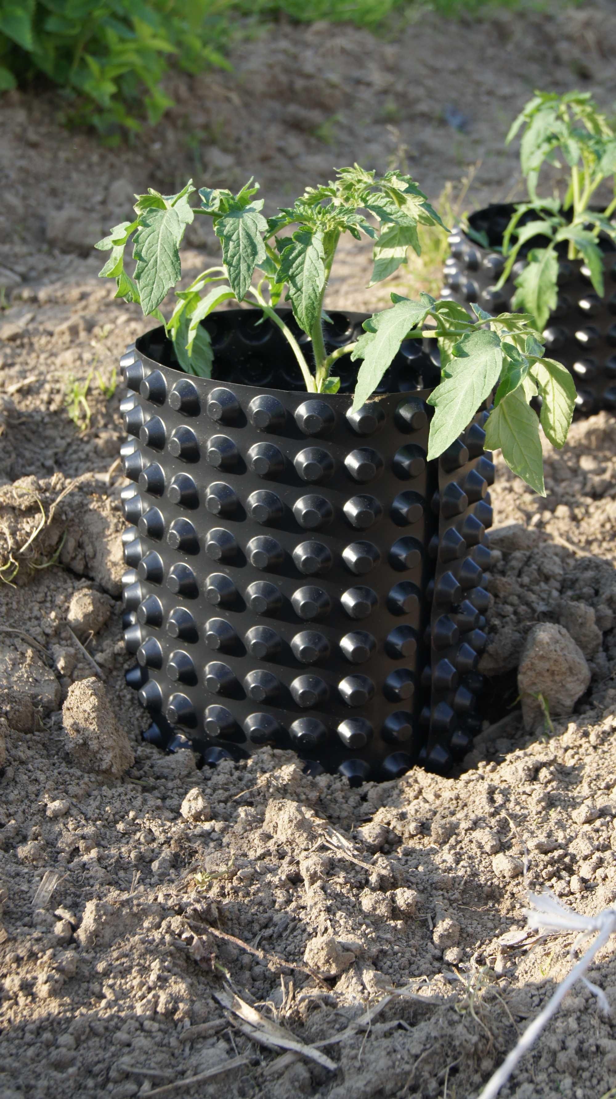 Wielosezonowy cylinder do sadzenia pomidorów i papryki