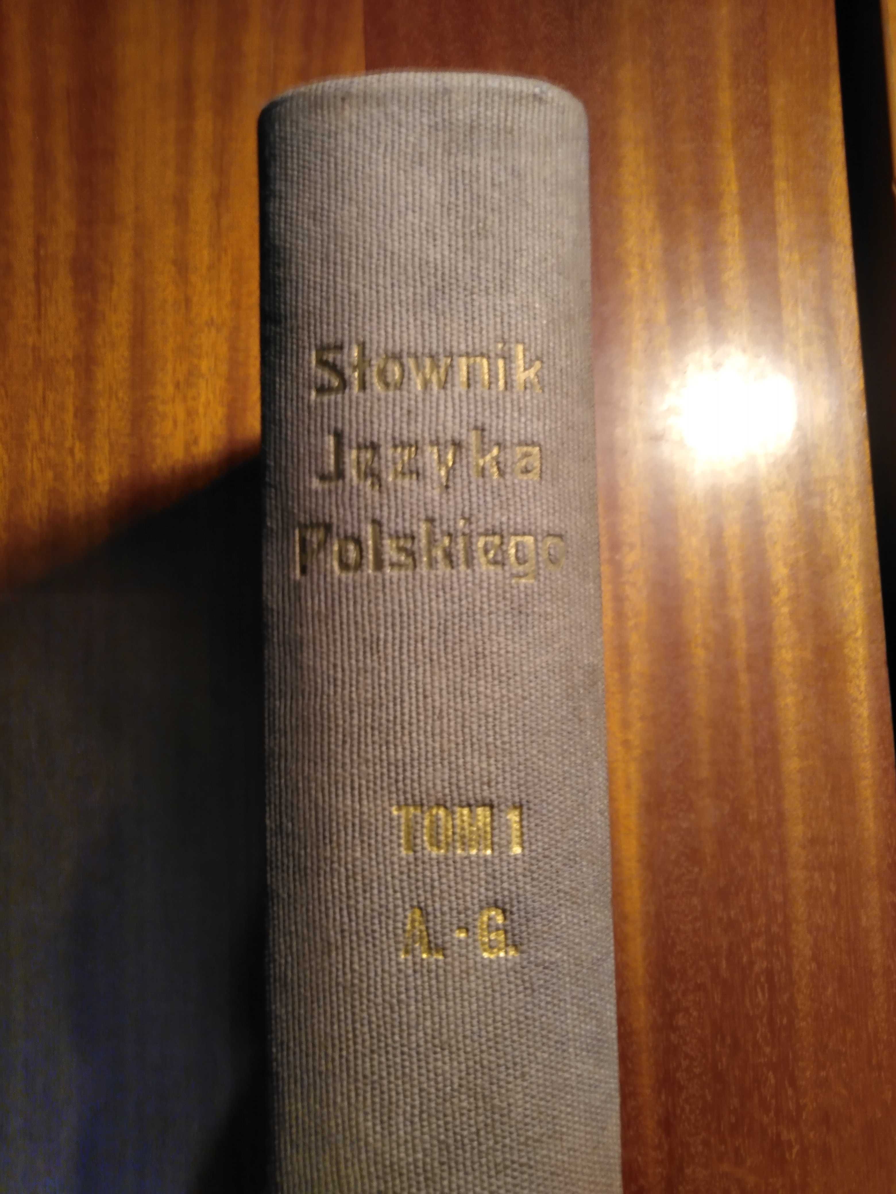 Słownik Języka Polskiego - 1900 - Tom I (z 8)