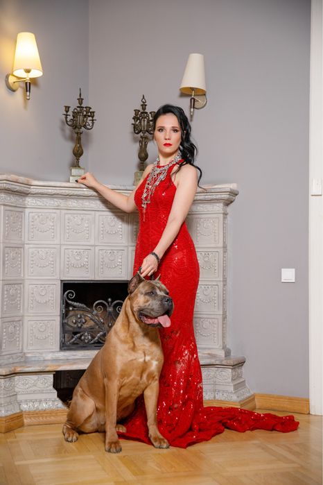 Infinity Glory Amazonian Lion! Шикарный , крупный кобель Кане Корсо