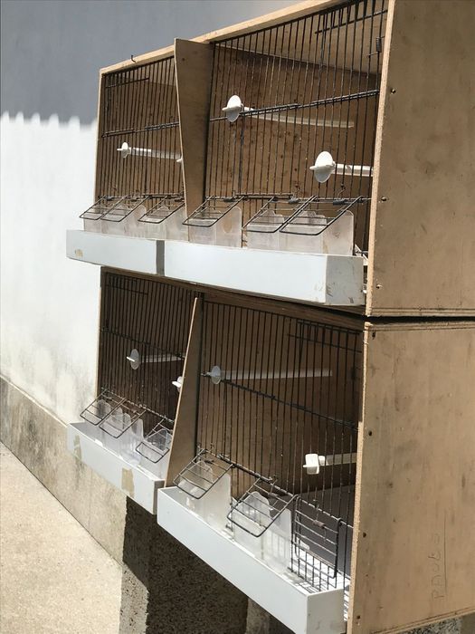 Gaiolas contraplacado marítimo com pouco uso